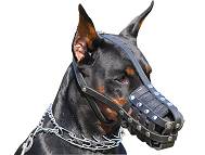 Leather dog muzzle.Padded.Great item for Doberman