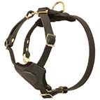 Leather Dog Harness for Puppy and Small Breeds