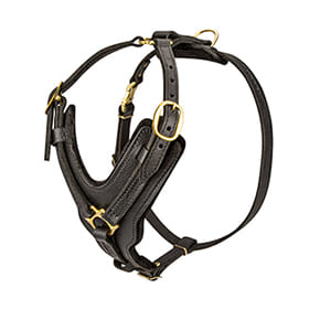 Fashion Dog Harness with Optional Handle for Dog Training and Walking