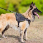 Brand New Dog Nylon Harness for Multifunctional Use