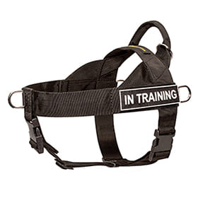 Nylon Dog Harness for Pulling, Tracking, Training and SAR