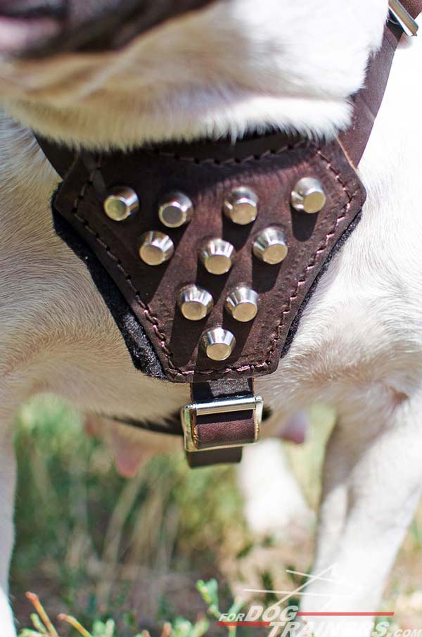 Felt Padded Chest Plate Decorated with Nickel Pyramids