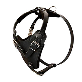 Padded Leather Dog Harness for Attack Training and Walking Large/Medium Breed Dogs
