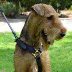 Agitation Leather Dog Harness Padded