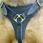 Strong Dog Harness for Attack Training and Daily Walking